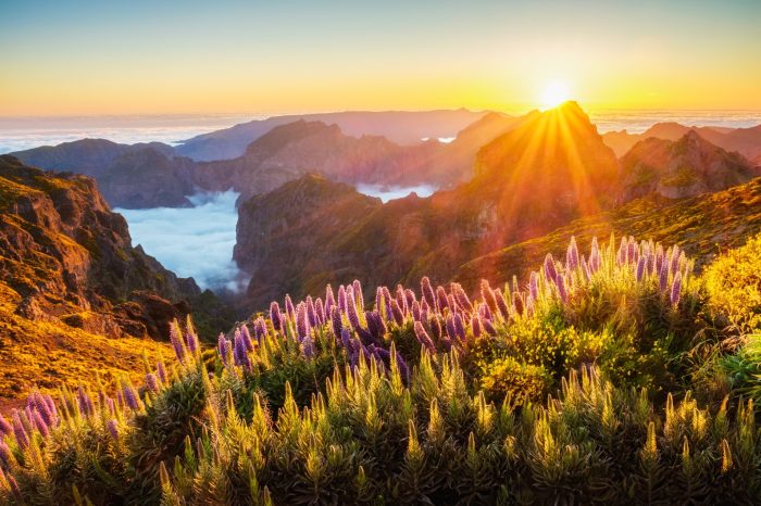 Pico do Areeiro & Cabo Girão – Cruise Special