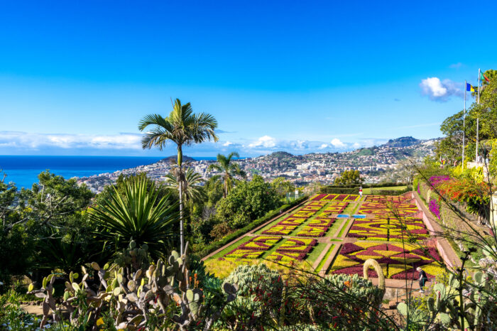 Madeira’s Gardens