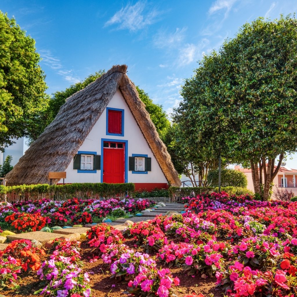 Traditional Houses on Madeira during a Sunny Day, Portugal